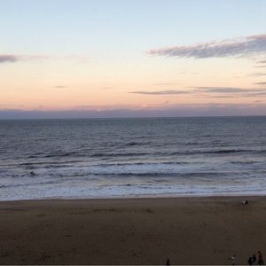 Meet your Posher, Charlie